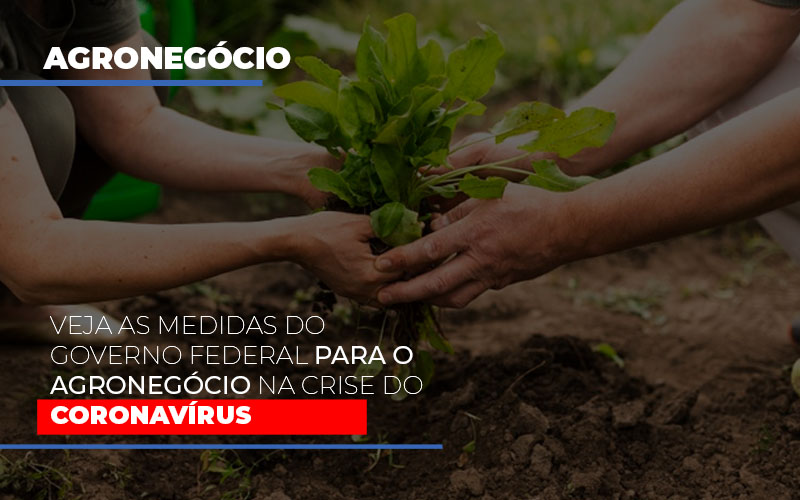 veja-as-medidas-do-governo-federal-para-o-agronegocio-na-crise-do-coronavirus